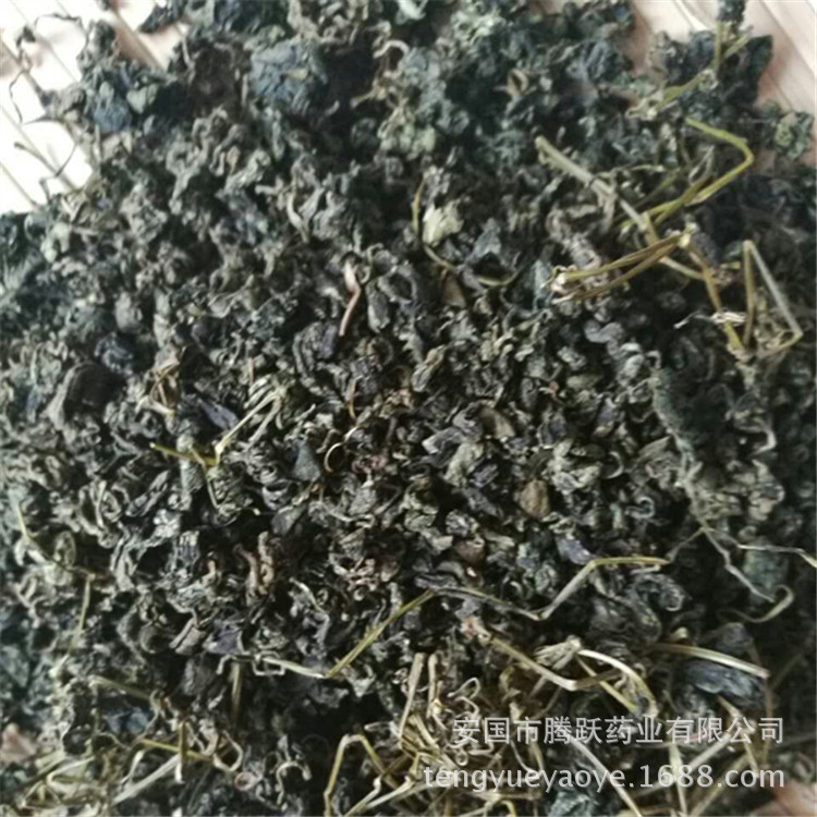 Jiaogulan Granules Gynostemma Loose Bulk Herbal Tea 500g - Image 5