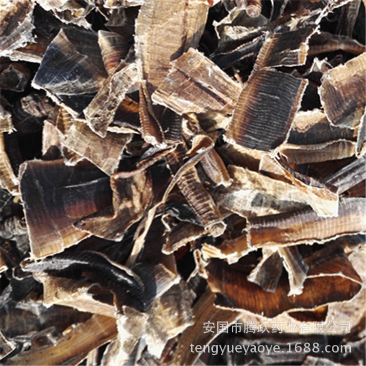 Dried Earthworm Di Long Pheretima Traditional Chinese Herbal Material 500g - Image 2