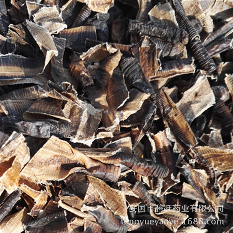 Dried Earthworm Di Long Pheretima Traditional Chinese Herbal Material 500g - Image 3