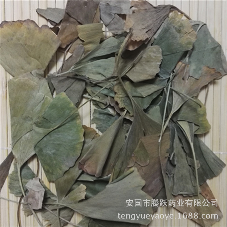 Dried Ginkgo Leaf Ye Xing Ye 1kg Bulk Chinese Herbal Tea Ingredient - Image 2