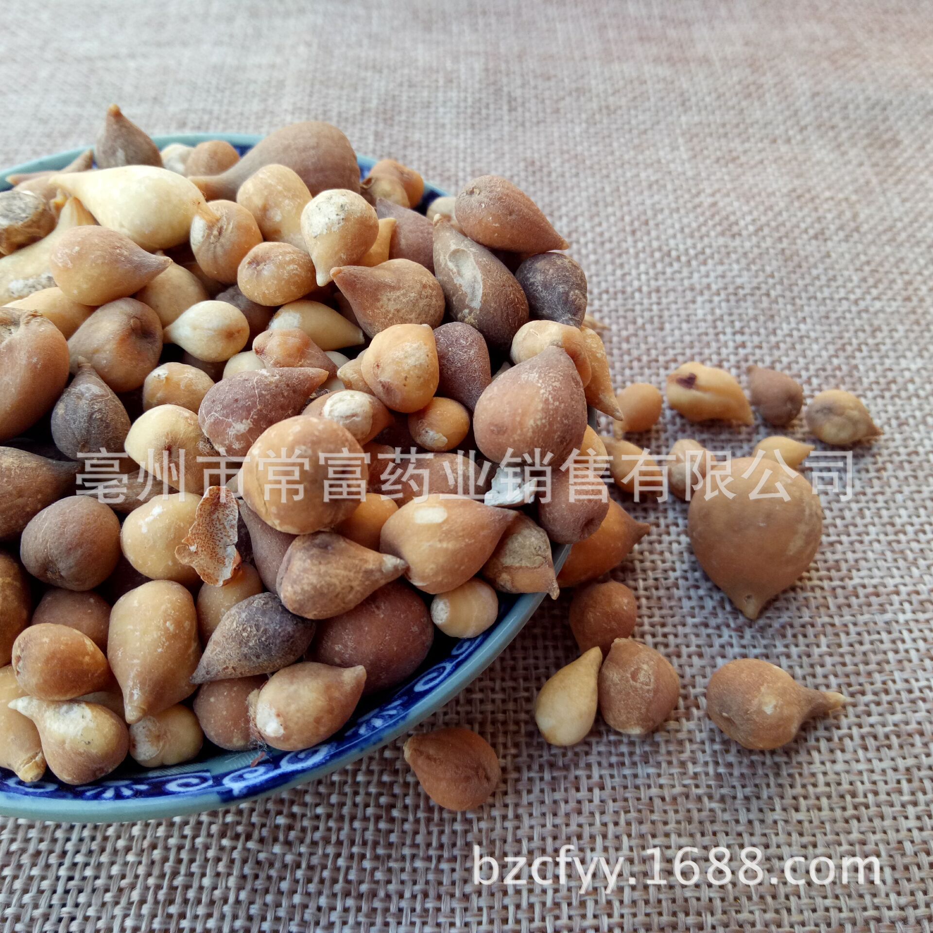 Dried Guang Gu Ci Bulbs 500g Natural Sun Dried Traditional Chinese Herb for Decoction and Culinary Use - Image 2