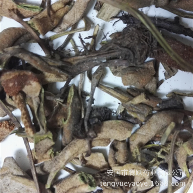 Dried Shi Wei Pyrrosia Leaf Whole Herb 1kg Bag Traditional Chinese Herbal Tea Ingredient - Image 2