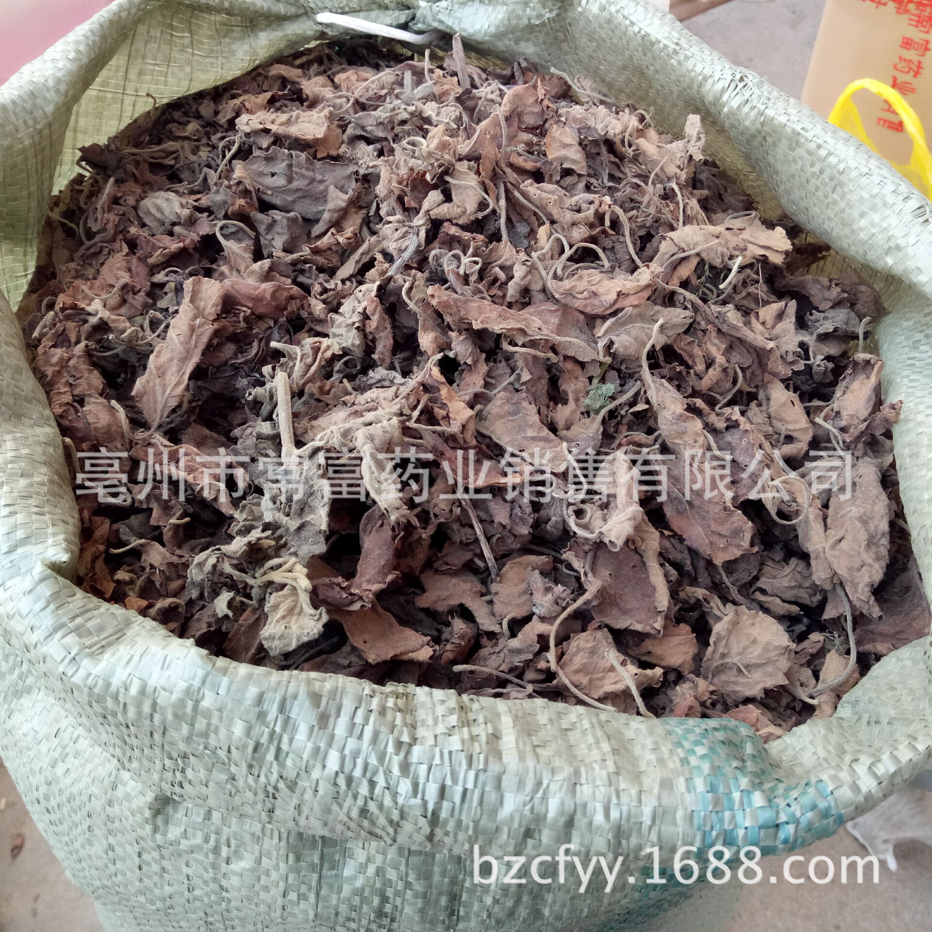 Huoxiang Ye Dried Patchouli Leaves 500g Culinary Herb for Cooking and Herbal Tea - Image 5