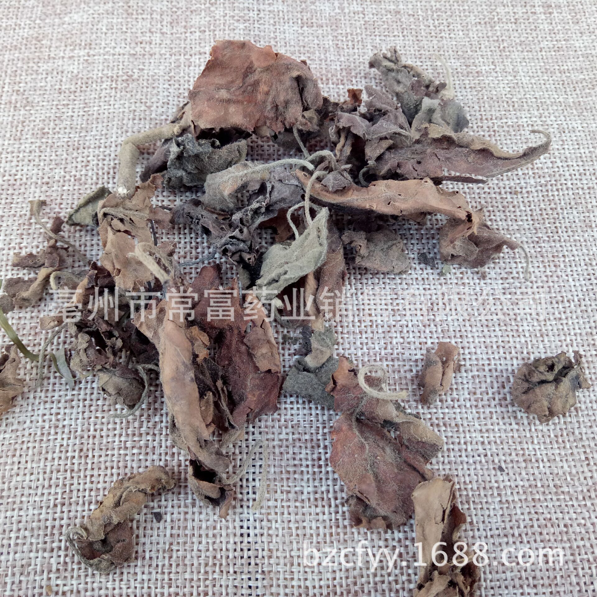 Huoxiang Ye Dried Patchouli Leaves 500g Culinary Herb for Cooking and Herbal Tea - Image 2