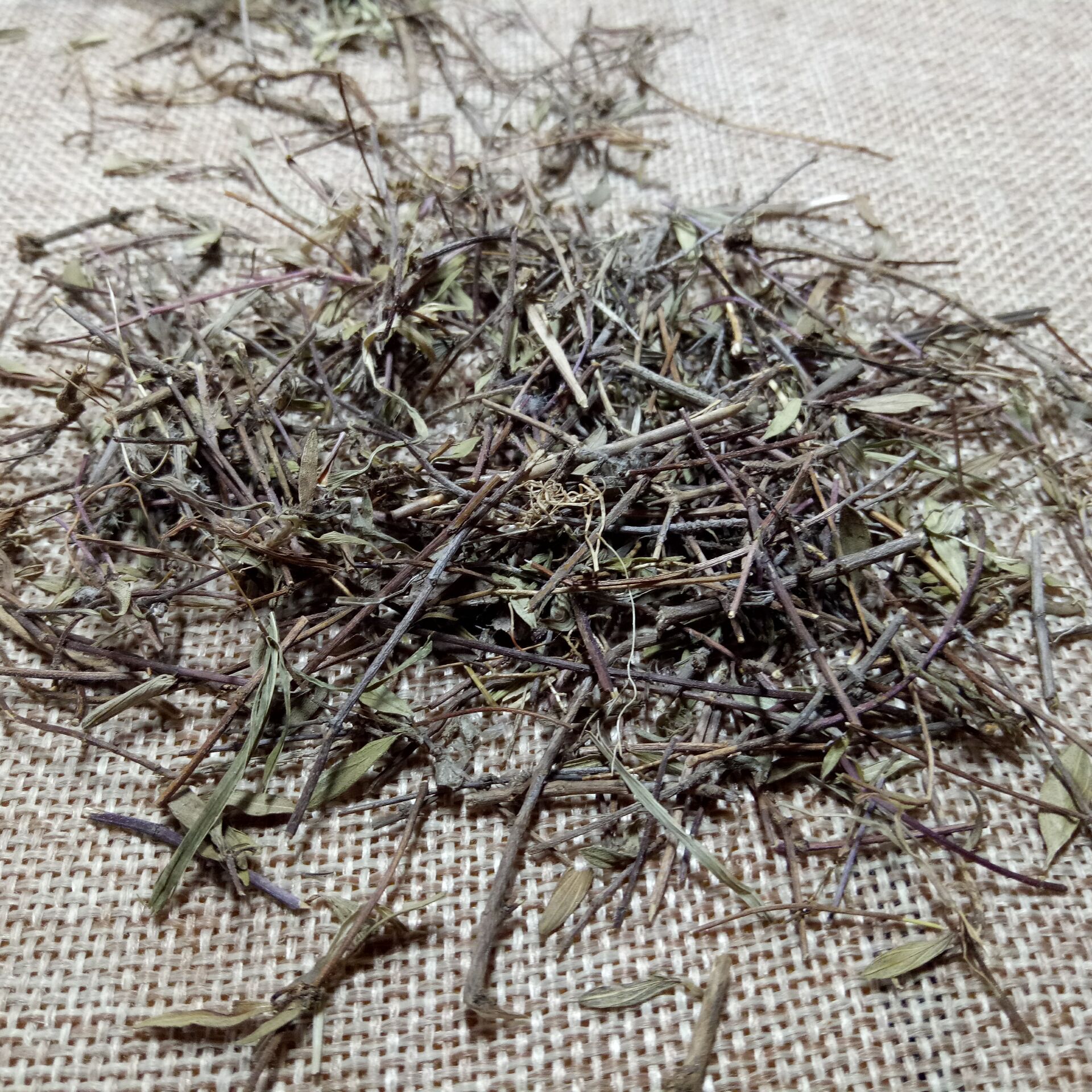 Dried Thyme Herb Bai Li Xiang 500g Culinary Seasoning for Western Cooking and Herbal Tea - Image 2
