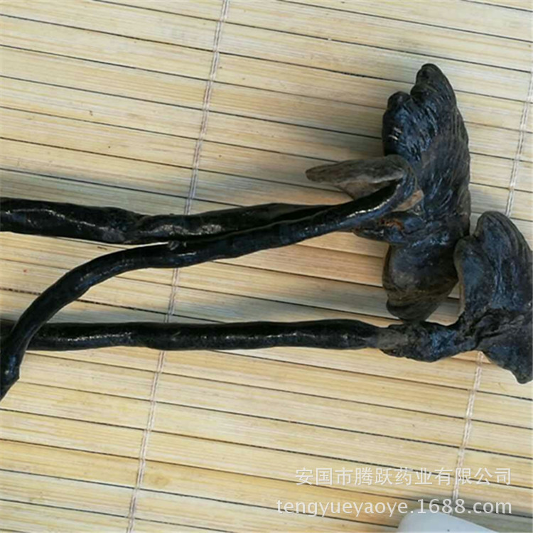 Dried Black Reishi Mushroom Ling Zhi 灵芝 Whole Fruiting Body Traditional Herbal Tea and Decoction Herb 500g - Image 3