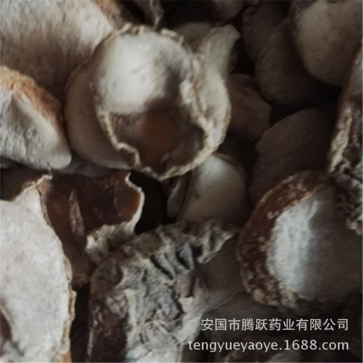 Zhejiang Fritillaria Bulb Slices Zhe Bei Mu Dried TCM Herb for Decoction 1kg - Image 4
