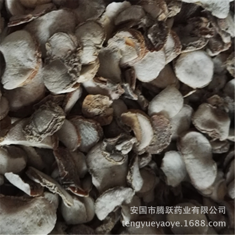 Zhejiang Fritillaria Bulb Slices Zhe Bei Mu Dried TCM Herb for Decoction 1kg - Image 2