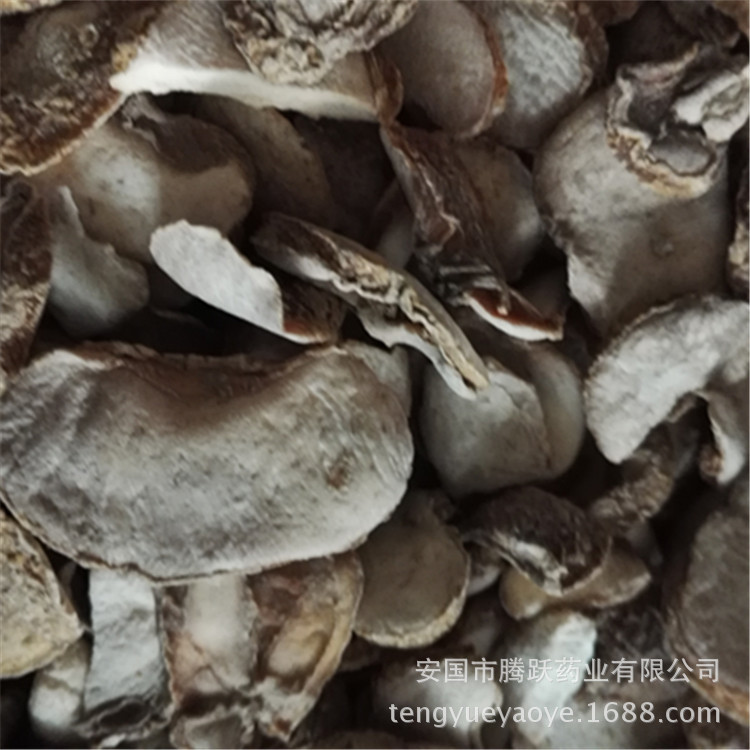 Zhejiang Fritillaria Bulb Slices Zhe Bei Mu Dried TCM Herb for Decoction 1kg - Image 3