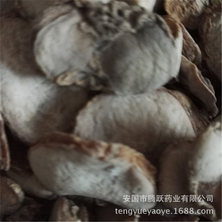 Zhejiang Fritillaria Bulb Slices Zhe Bei Mu Dried TCM Herb for Decoction 1kg - Image 5