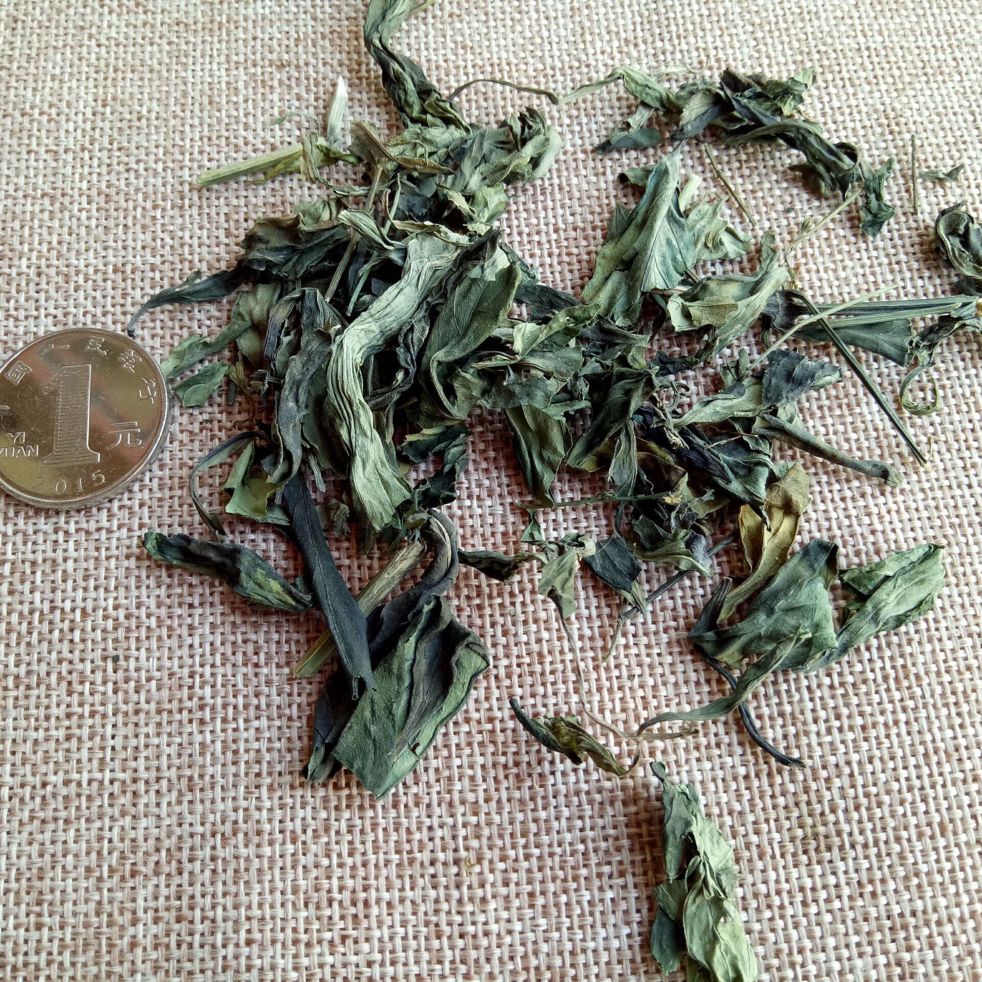 Chuan Xin Lian Andrographis Leaf Dried Herb 500g Bulk Culinary Herbal Supply - Image 2