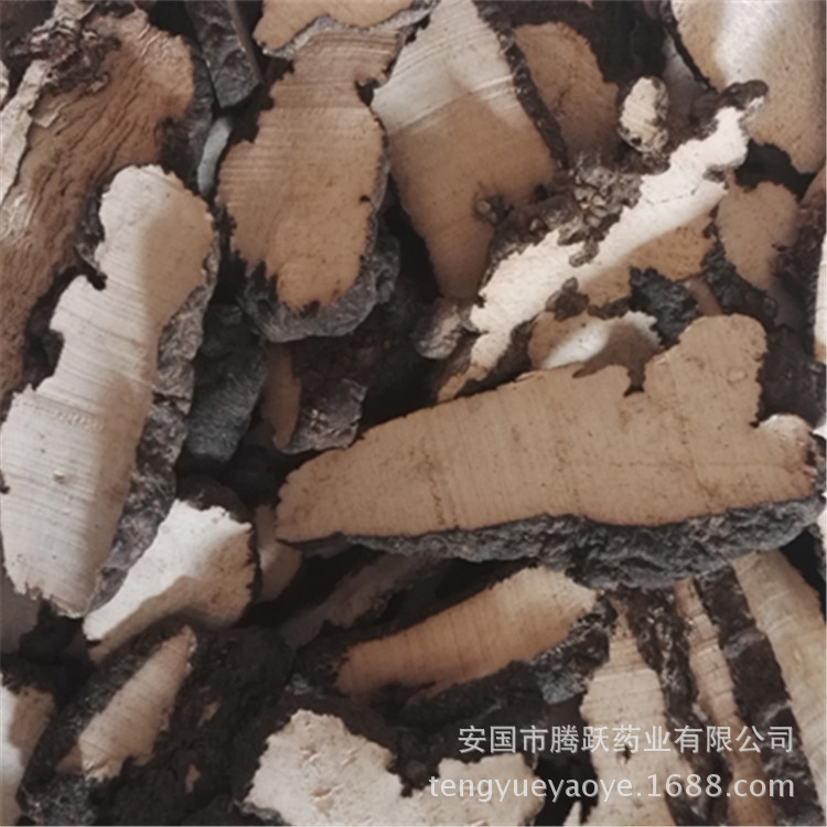 Zhu Ling Polyporus Sclerotium Dried Slices Traditional Chinese Herbal Decoction Ingredient 500g - Image 2