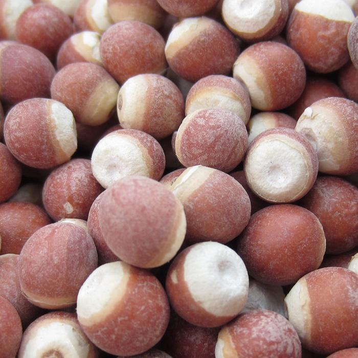Dried Gorgon Fruit Seeds Qian Shi 500g Whole Euryale Seeds for Cooking and Congee - Image 4