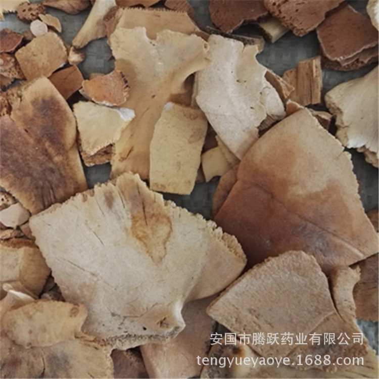 Dried Turtle Shell Gui Ban Traditional Chinese Herb Raw Material for Decoction 1kg - Image 3