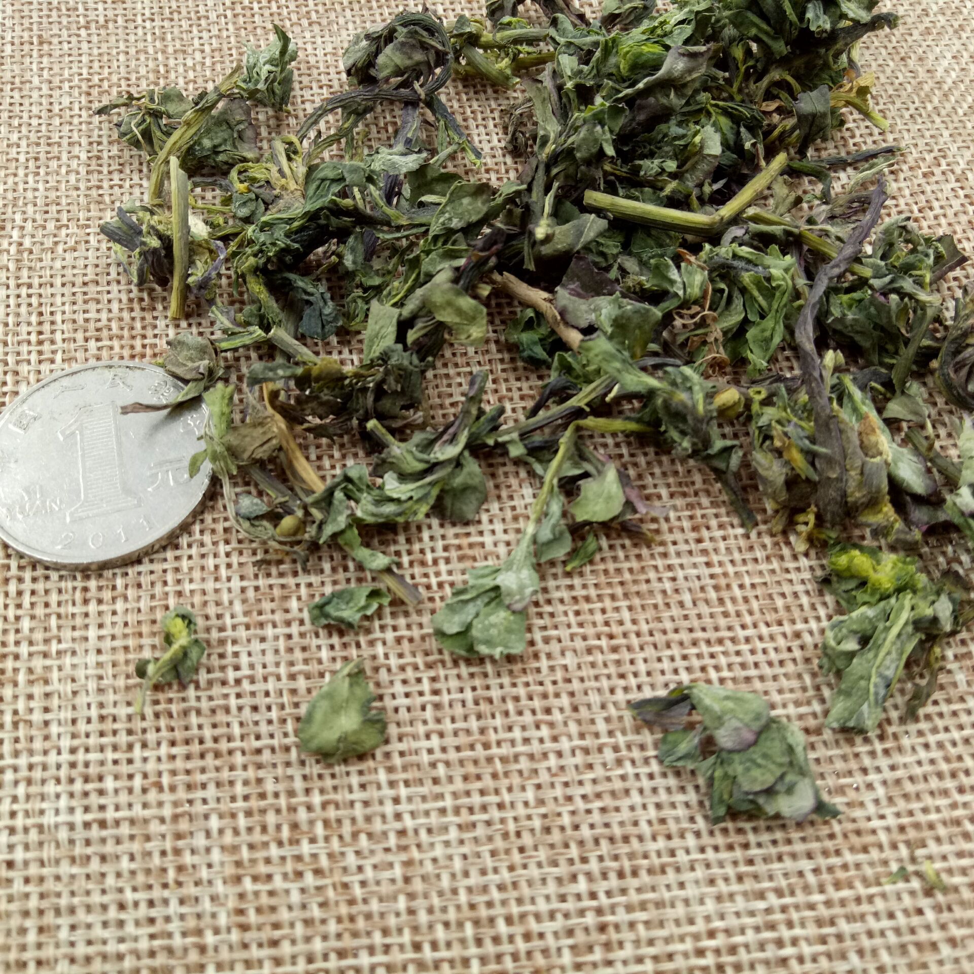 Dried Ze Qi Maoyancao Herb Slices Traditional Chinese Herbal Tea Ingredient 1 Jin Pack - Image 2