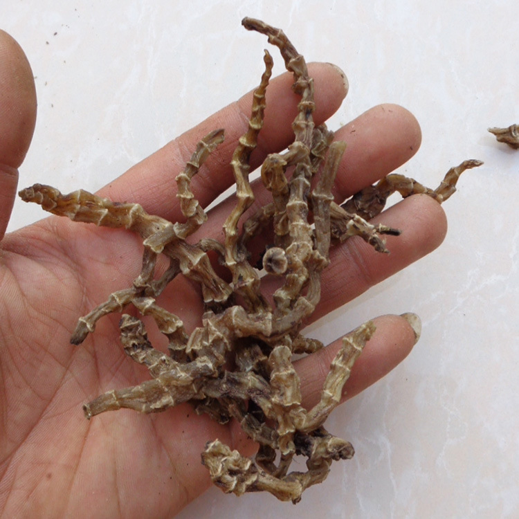 Di Shen / Chong Cao Shen (Stachys affinis) — Yunnan Dried Food Herb, 500g - Image 3