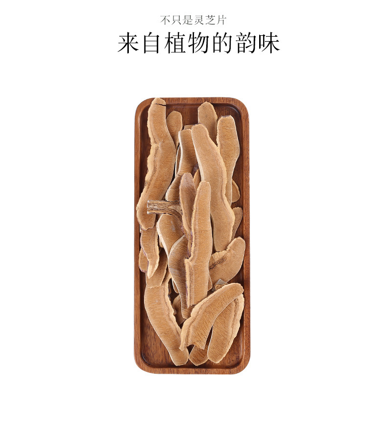 Dried Reishi Mushroom Slices Ling Zhi Bulk Ganoderma Slices for Decoction and Soup - Image 5