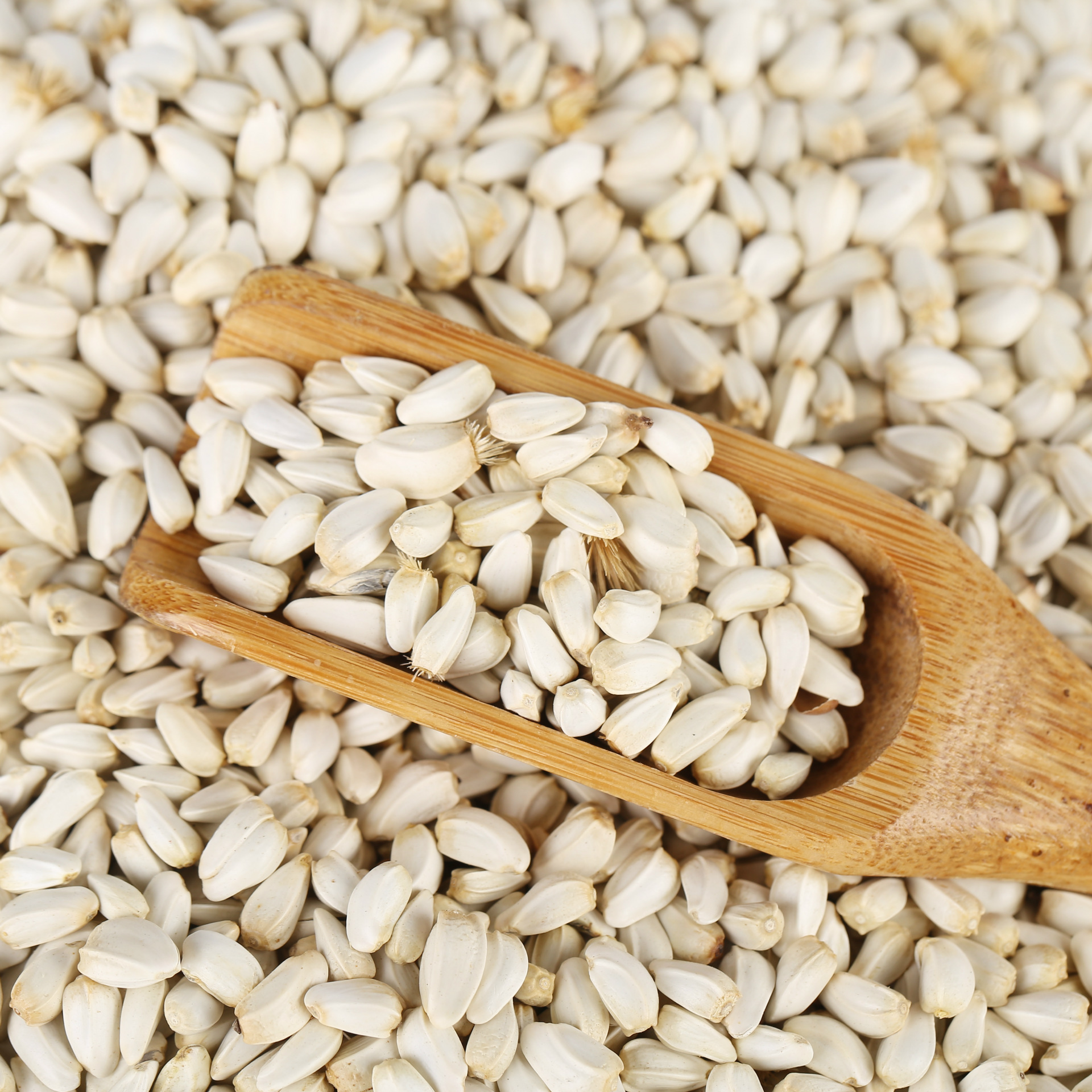 Safflower Seed Bulk Loose Whole Seeds Hong Hua Zi for Cooking and Herbal Use - Image 4