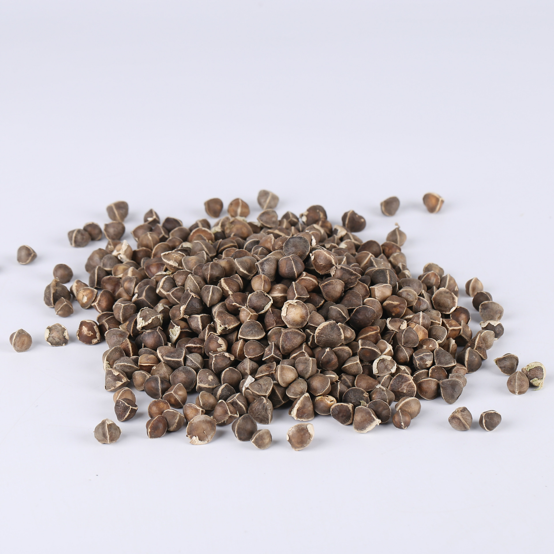 Dried Moringa Seeds La Mu Zi Low Temperature Baked Culinary Herb Raw Botanicals - Image 2