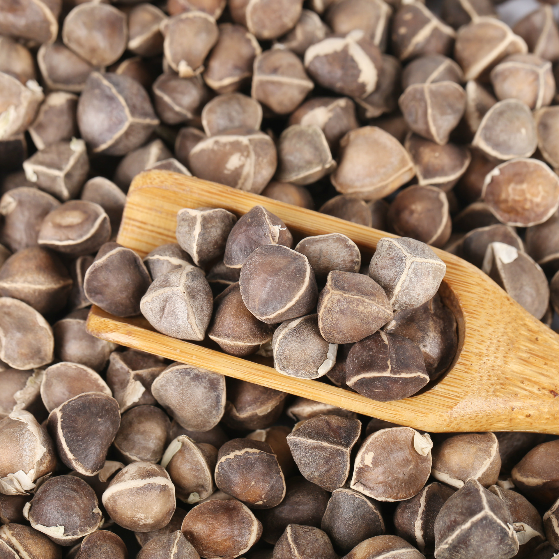Dried Moringa Seeds La Mu Zi Low Temperature Baked Culinary Herb Raw Botanicals - Image 3