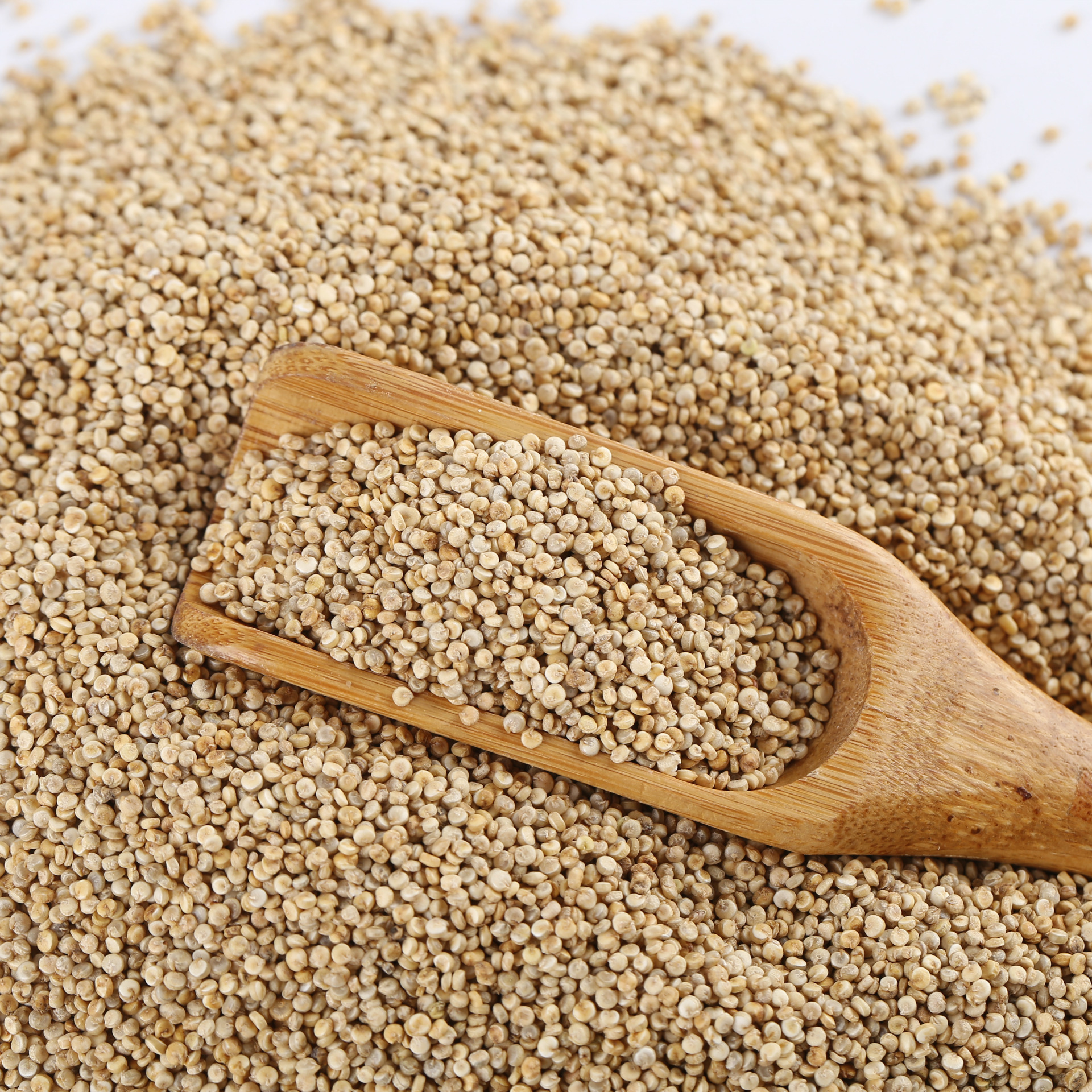 White Quinoa Grain Low Temperature Baked Tri Color Quinoa Rice Wholesale Bulk - Image 3