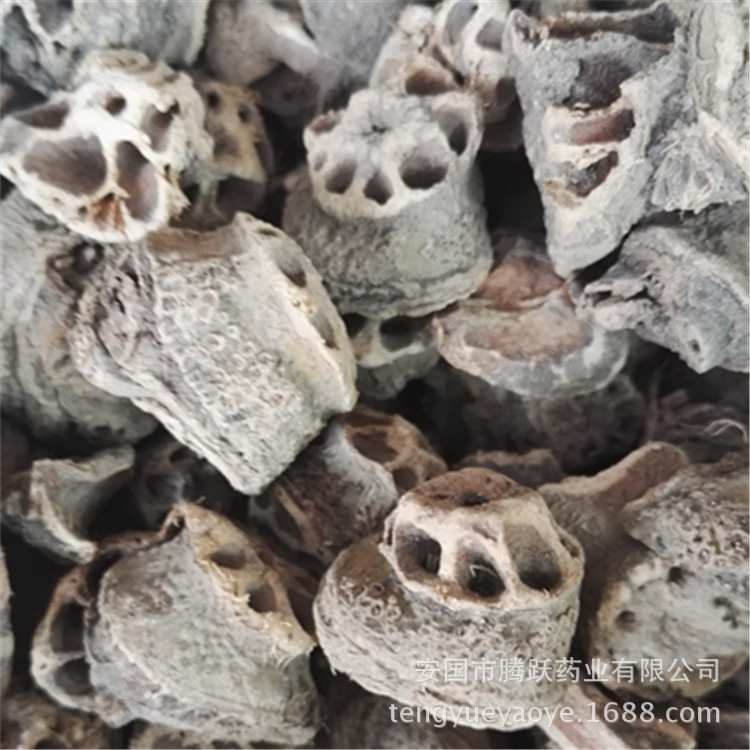 Dried Lotus Root Node Ou Jie TCM Herb Wholesale Bulk 500g - Image 4