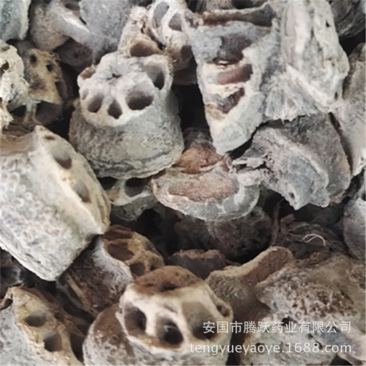 Dried Lotus Root Node Ou Jie TCM Herb Wholesale Bulk 500g - Image 2