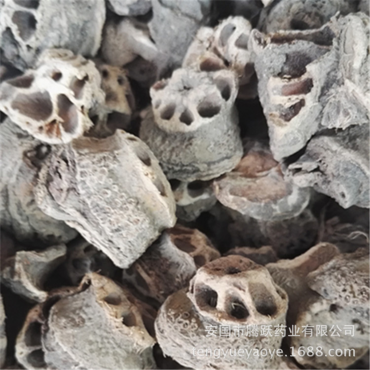 Dried Lotus Root Node Ou Jie TCM Herb Wholesale Bulk 500g - Image 5