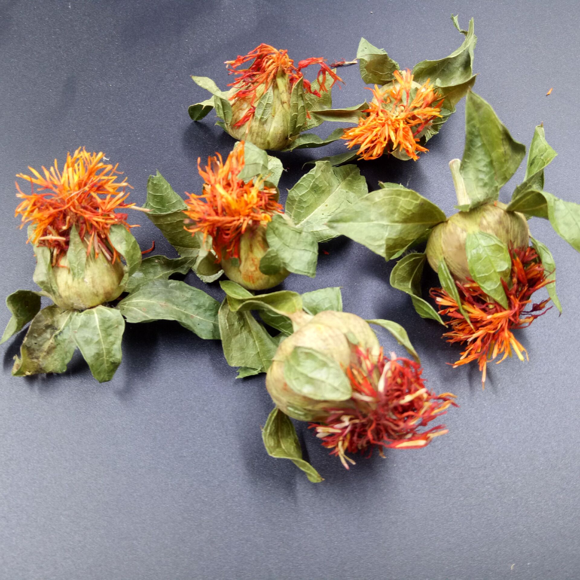 Safflower Ball Cheng Bo Luo Herbal Flower Tea Loose Dried Botanical for Traditional Infusions - Image 3