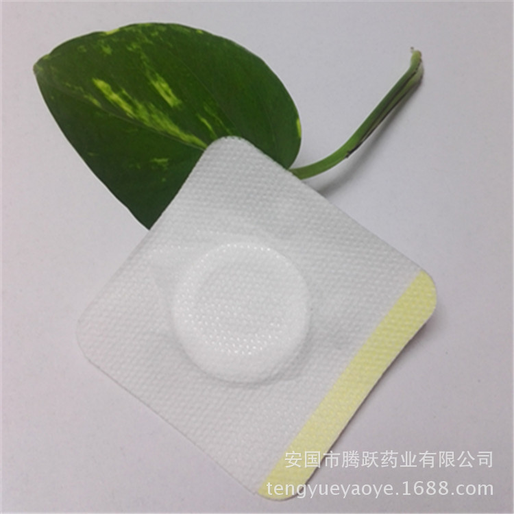 Blank Acupoint Patch 12x14cm Non-Woven Adhesive Plaster Base for Sanfu Sanfu Tian Topical Use - Image 2