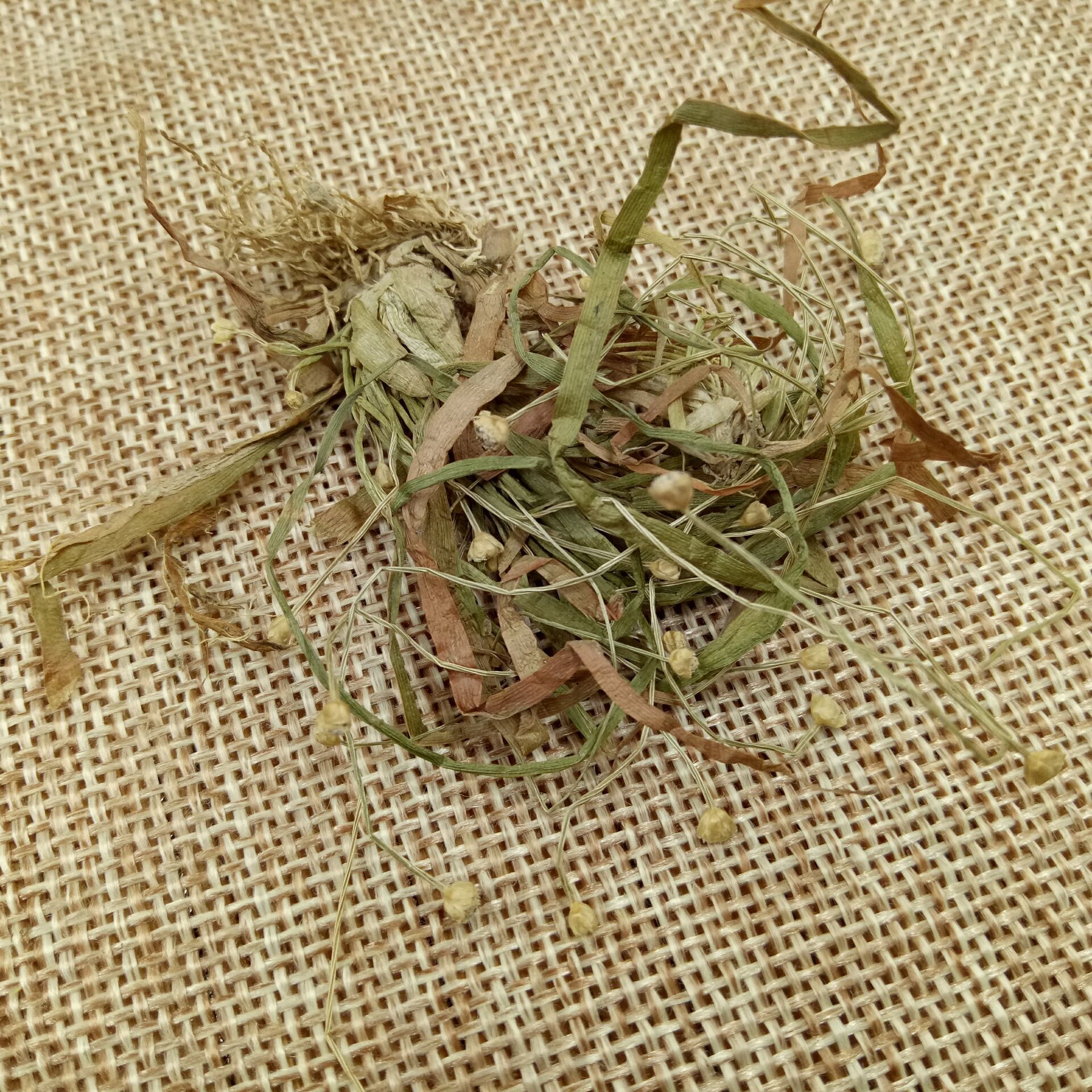 Dried Eriocaulon Flower Buds Gu Jing Cao Whole Herb 500g Traditional Chinese Herbal Tea Ingredient - Image 2