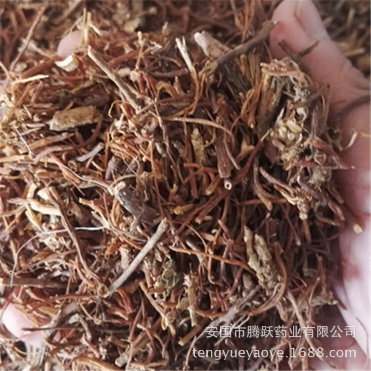 Dried Gentian Root Long Dan Cao Whole Root TCM Herbal Material for Decoction and Tea - Image 5