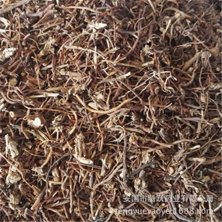 Dried Gentian Root Long Dan Cao Whole Root TCM Herbal Material for Decoction and Tea - Image 2