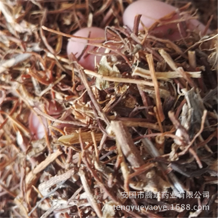 Dried Gentian Root Long Dan Cao Whole Root TCM Herbal Material for Decoction and Tea - Image 4
