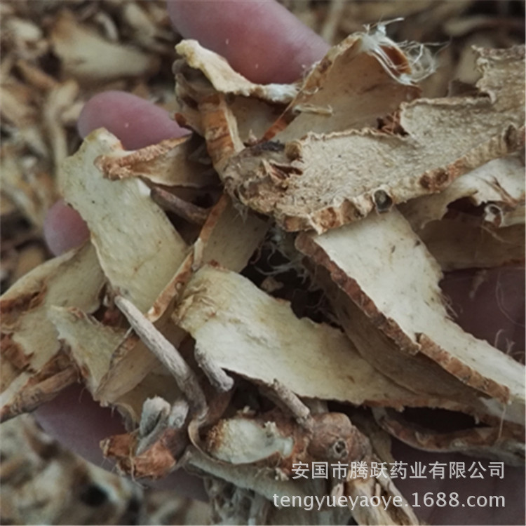 Zhi Mu Dried Anemarrhena Root Slices Wholesale Bulk Chinese Herb for Decoction and Tea - Image 3