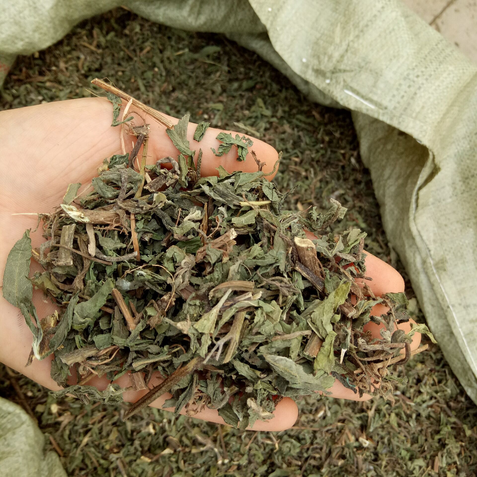 Dried Eclipta Herb Mo Han Lian Sliced Eclipta prostrata Whole Herb for Decoction and Tea 500g - Image 4