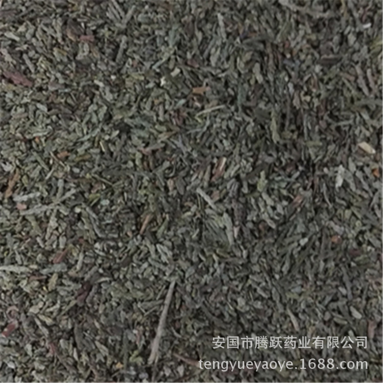Dried Cebai Ye Chinese Arborvitae Leaf Bulk Herb Traditional TCM Decoction Ingredient - Image 4