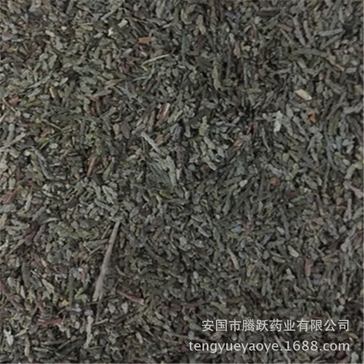 Dried Cebai Ye Chinese Arborvitae Leaf Bulk Herb Traditional TCM Decoction Ingredient - Image 3