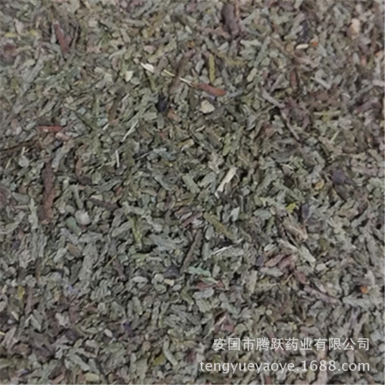 Dried Cebai Ye Chinese Arborvitae Leaf Bulk Herb Traditional TCM Decoction Ingredient - Image 2