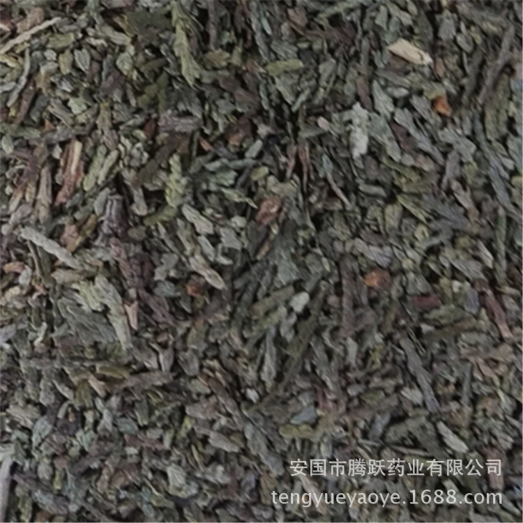 Dried Cebai Ye Chinese Arborvitae Leaf Bulk Herb Traditional TCM Decoction Ingredient - Image 5