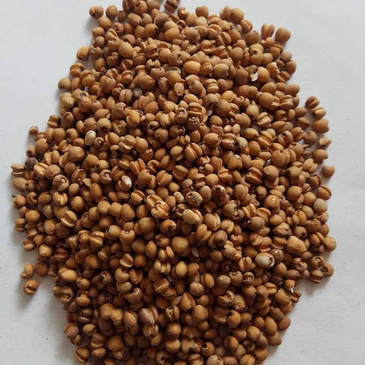 Roasted Red Coix Seed Low Temperature Baked Yi Mi 500g Chinese Grain - Image 2