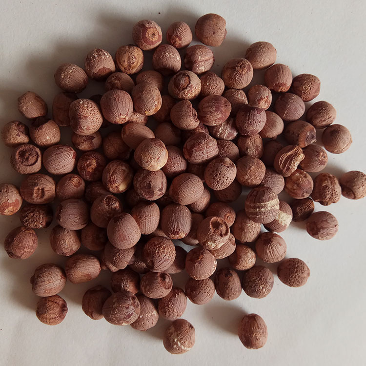 Low Temperature Baked Red Lotus Seeds Hong Lian Zi Dried Lotus Seed for Soup and Congee - Image 3