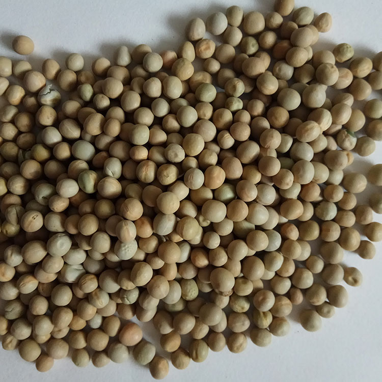 Low Temperature Roasted Peas Hand Selected Whole Dried Peas Wan Dou for Congee and Soup - Image 3