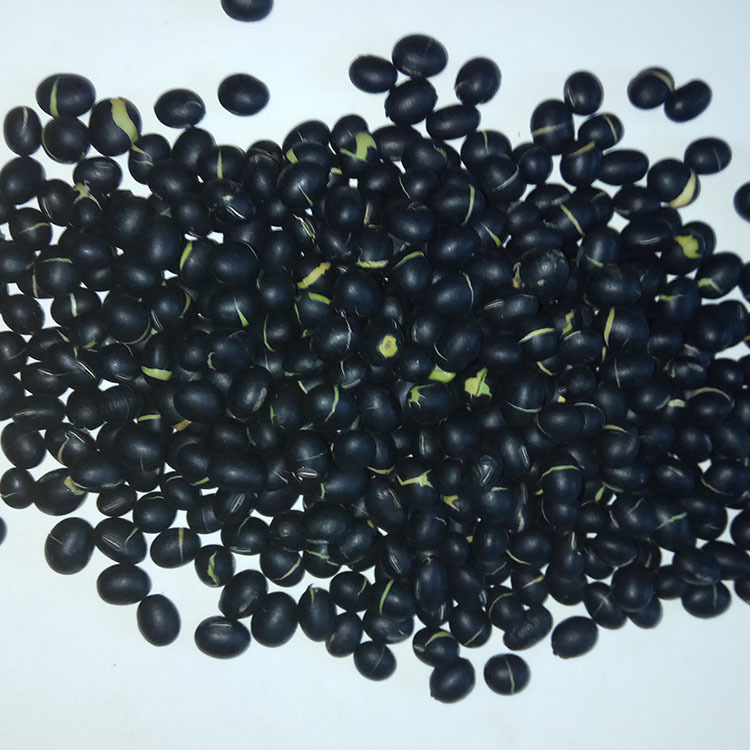 Roasted Black Soybeans Low Temperature Baked Hei Dou Dried Whole Beans for Tea Soup and Congee - Image 3