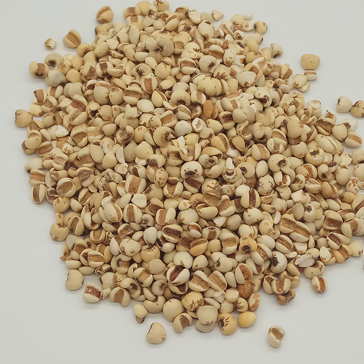 Low Temperature Baked Coix Seed Yi Ren Mi 5 Jin Bulk Job's Tears Grain - Image 3