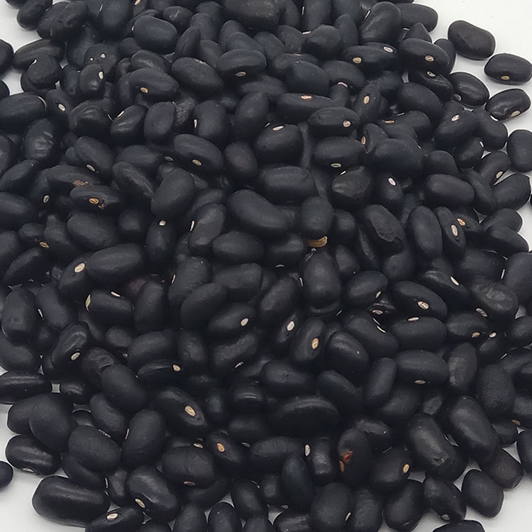 Low Temperature Roasted Black Soybeans Shu Hei Dou Wholesale Bulk Five Grain Ingredient - Image 3