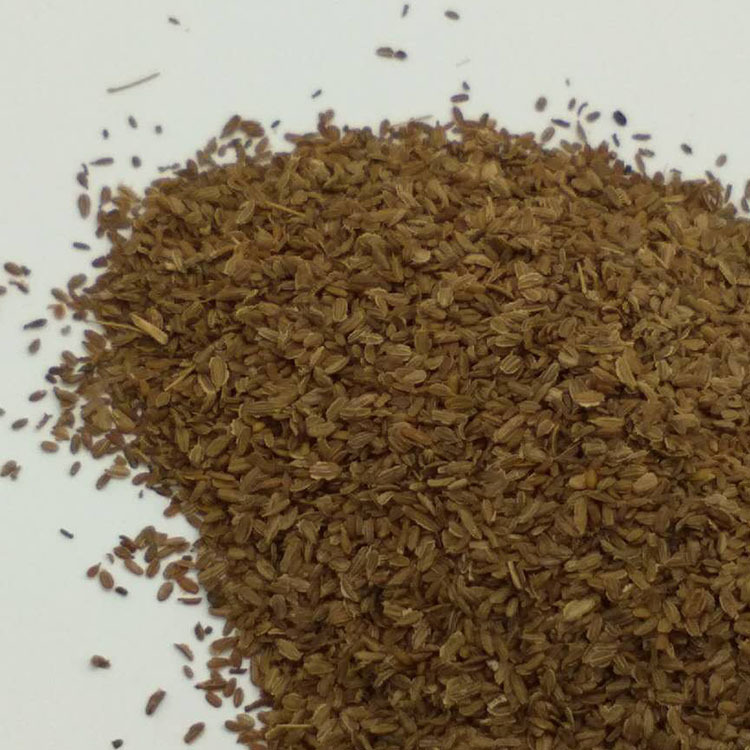 Low Temperature Baked Carrot Seed Powder Hu Luo Bo Zi for Five Grain Mixes and Herbal Blends - Image 4