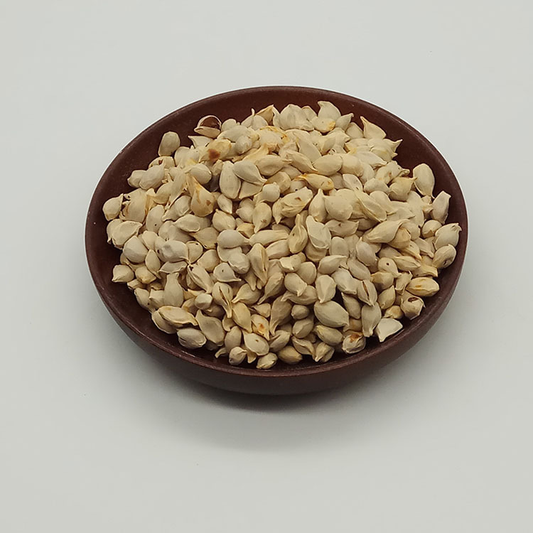 Low Temperature Baked Tangerine Seed Ju He Dried Citrus Seed for Herbal Decoction and Soup - Image 3