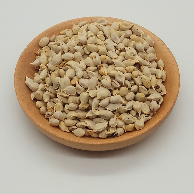 Low Temperature Baked Tangerine Seed Ju He Dried Citrus Seed for Herbal Decoction and Soup - Image 4