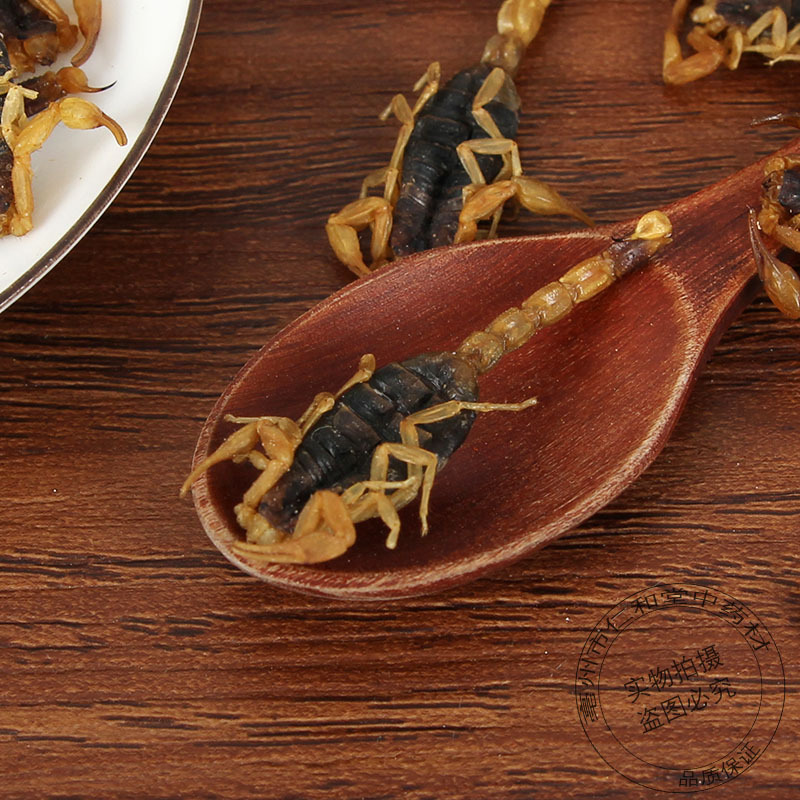 Dried Whole Scorpion Quan Xie 全蝎 500g Culinary Chinese Herbal Ingredient - Image 4